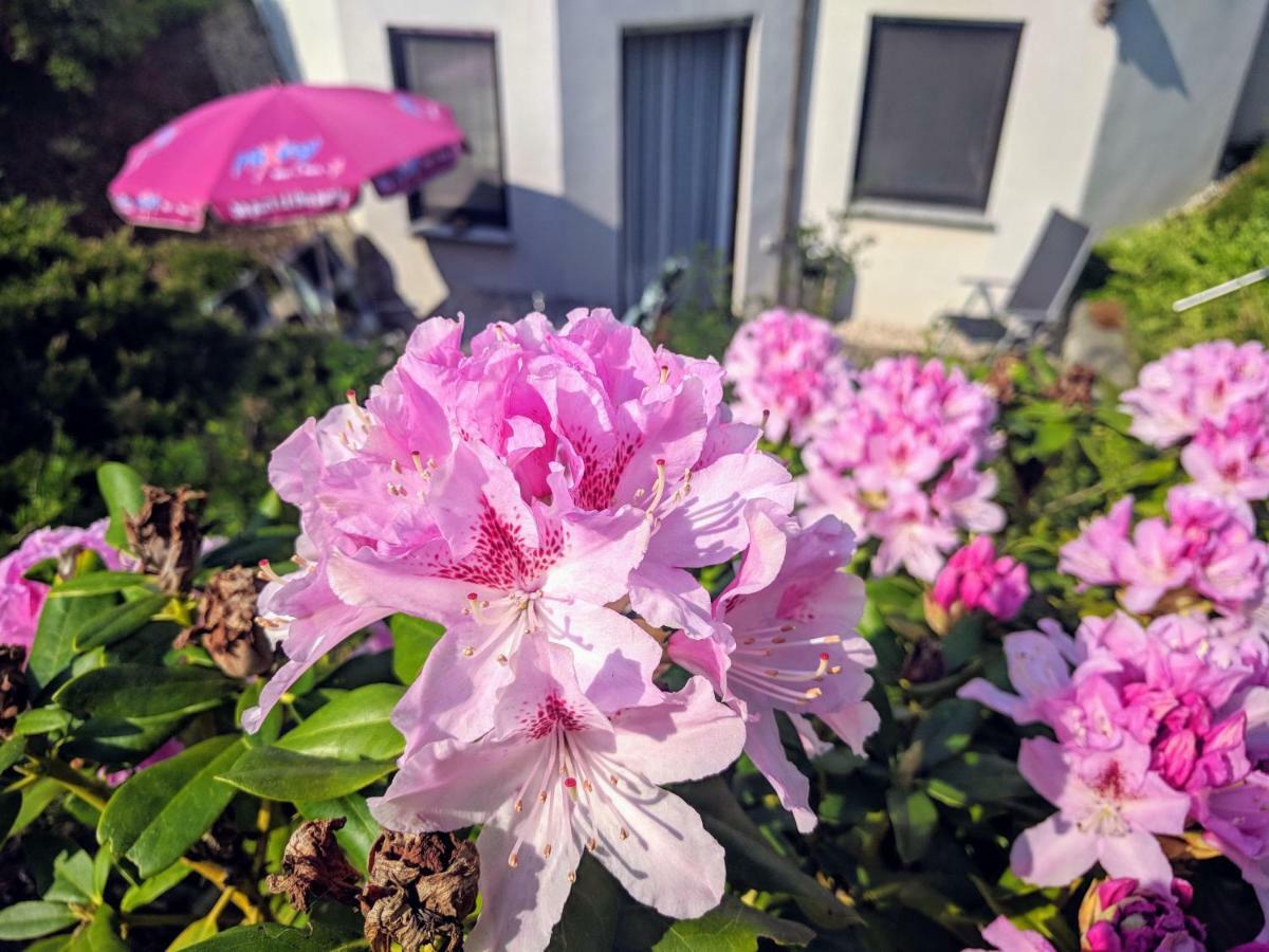Ferienwohnung Mit Terrasse Grimma Luaran gambar